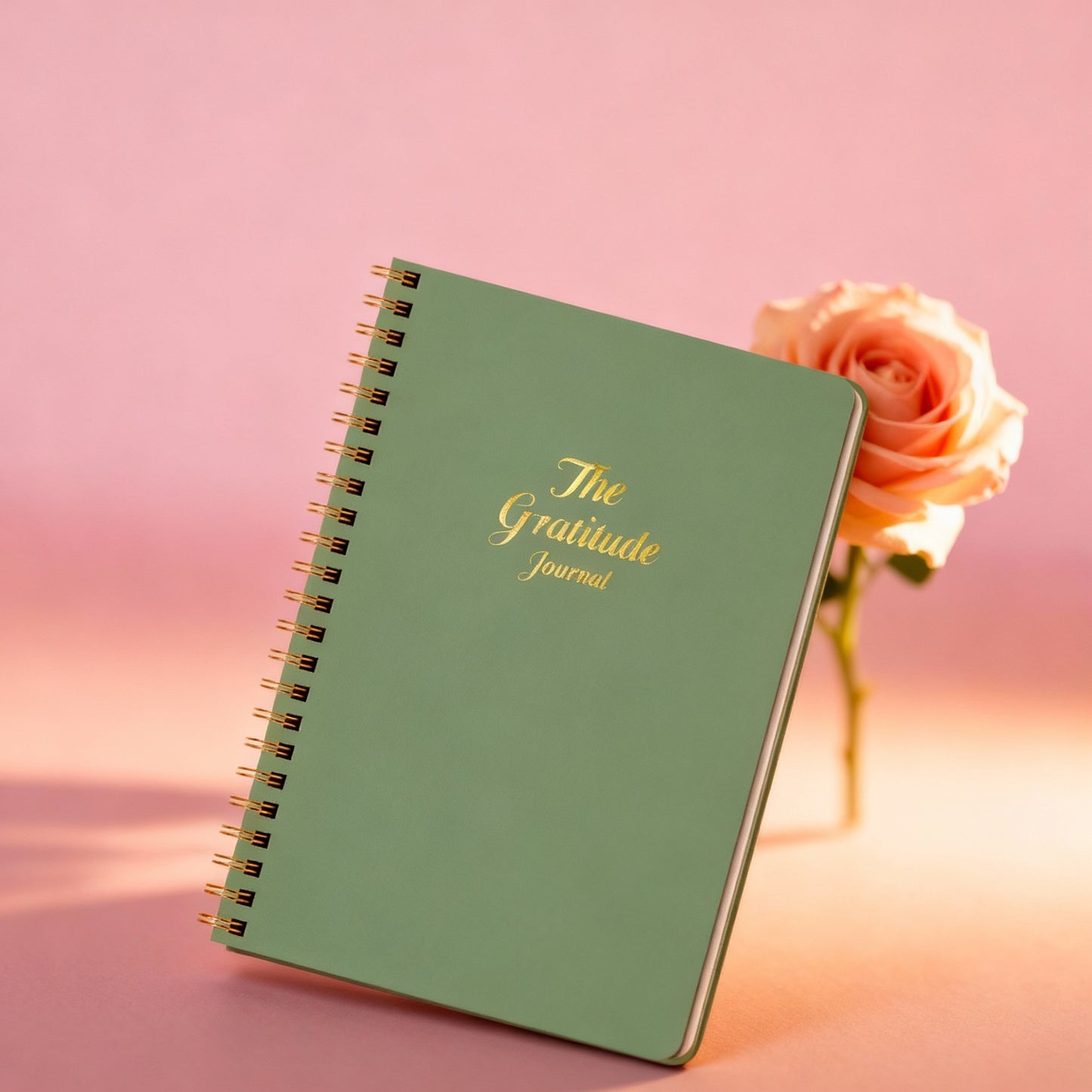 Gratitude Planner: a 5.71 X 8.15-Inch Undated Daily Gratitude Journal That Keeps Track of Your Mood